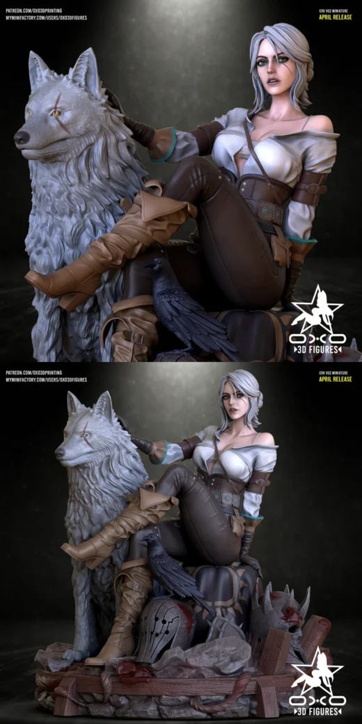 Ciri V02 from Witcher