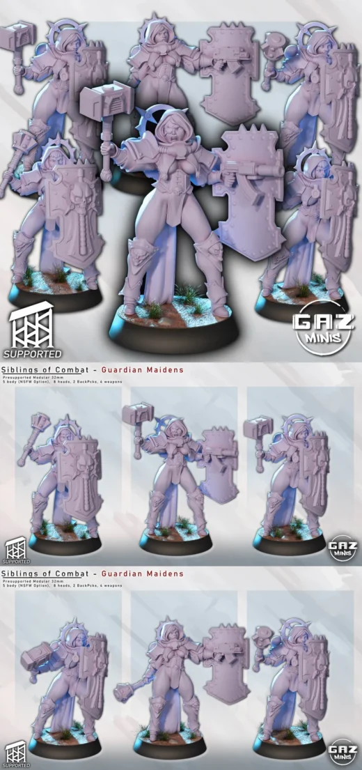 SoC Unit – Guardian Maidens