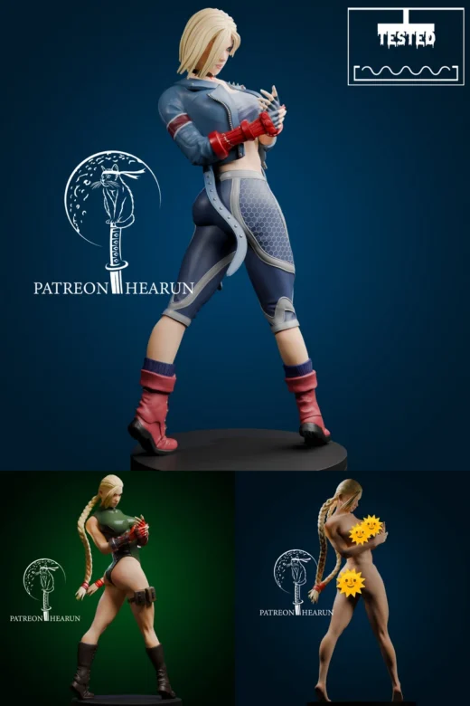 Cammy Street fighter extra