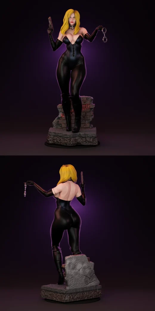 Barb Wire – Comic-Inspired STL Figure for 3D Printing